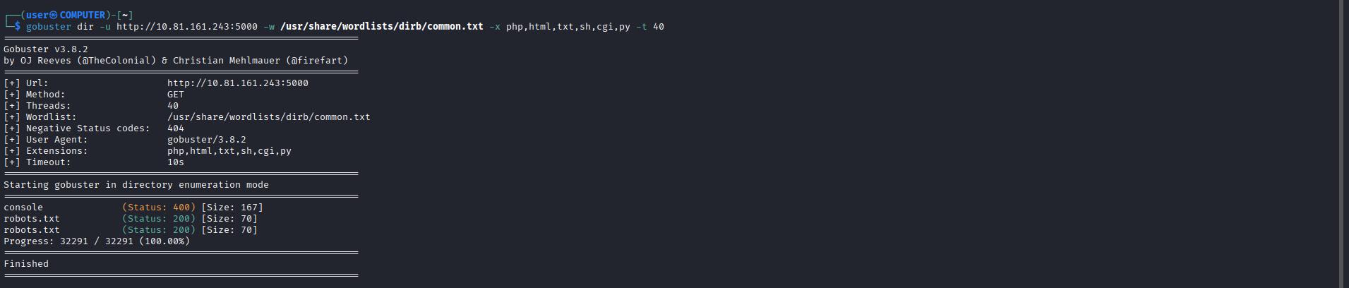 GoBuster Directory Enumeration